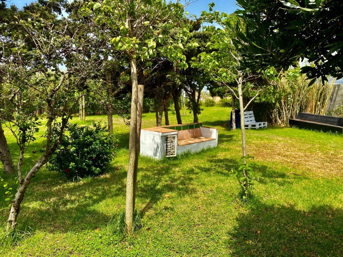 מלון טריפה Banti Garden מראה חיצוני תמונה