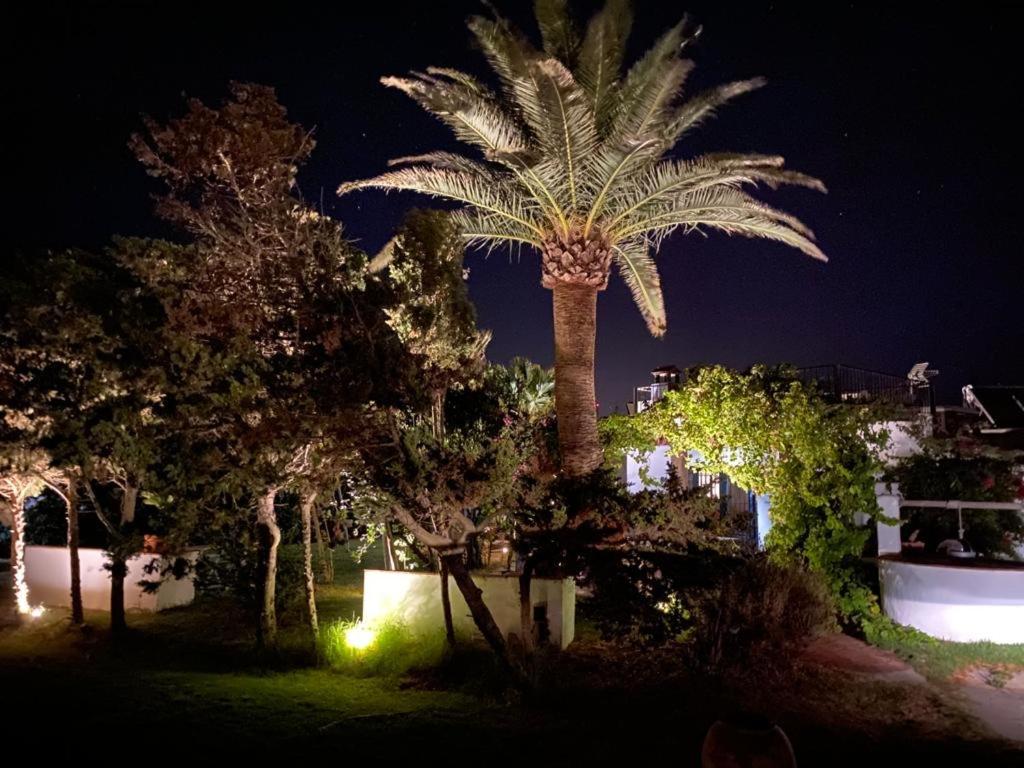 מלון טריפה Banti Garden מראה חיצוני תמונה