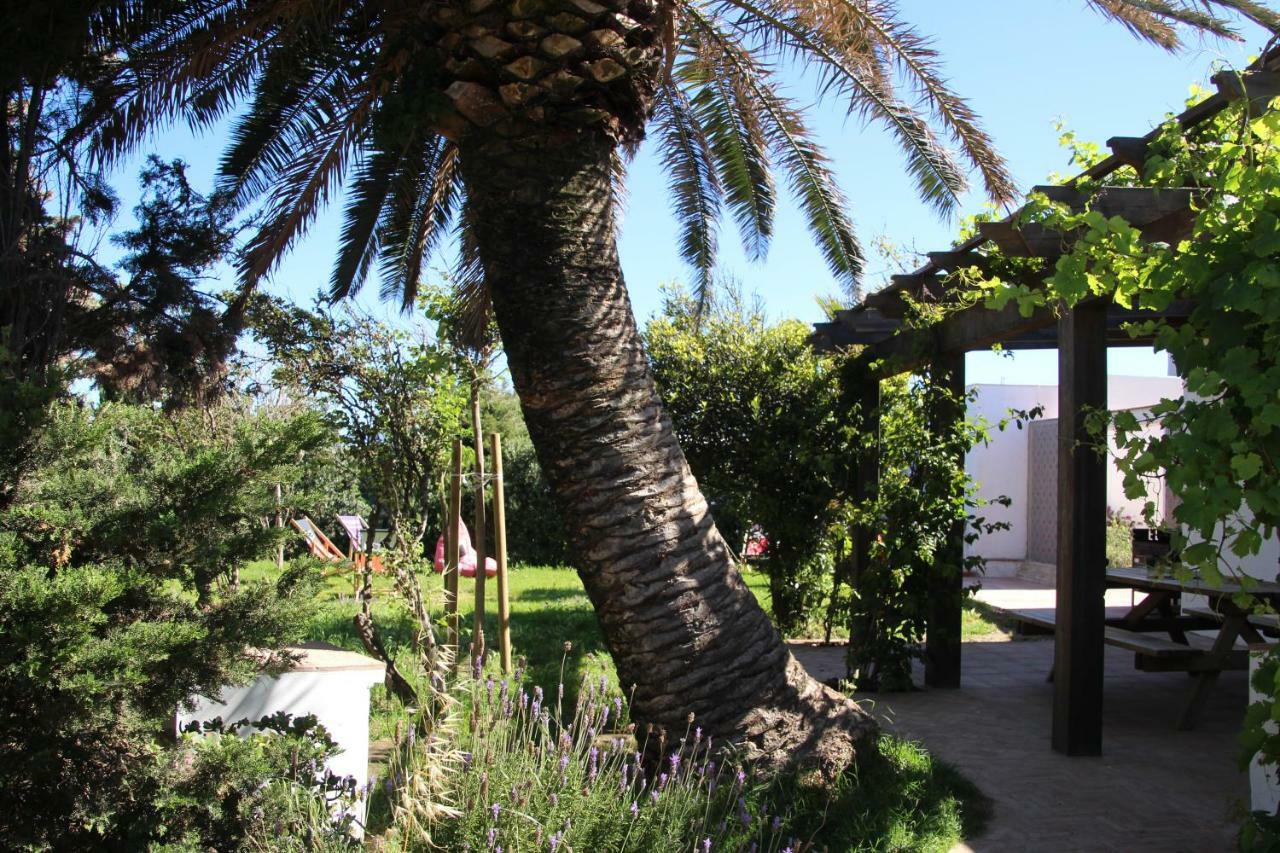 מלון טריפה Banti Garden מראה חיצוני תמונה