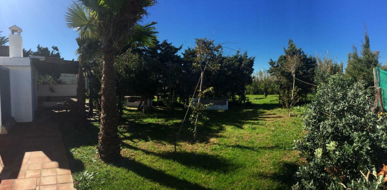 מלון טריפה Banti Garden מראה חיצוני תמונה